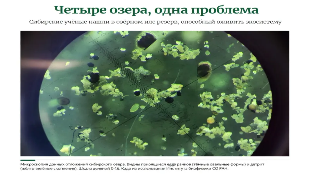 Четыре озера, одна проблема